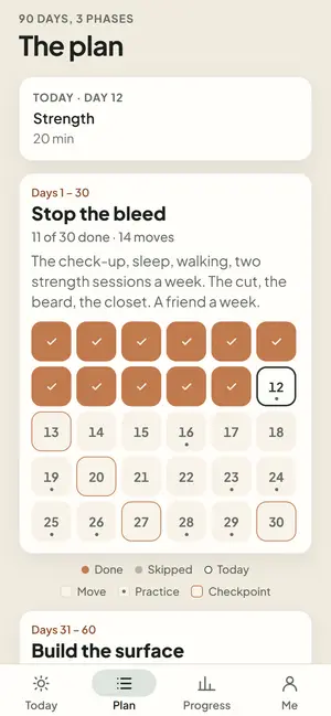The plan: phase 1, Stop the bleed, days 1 to 30, with the grid of days done and to come.
